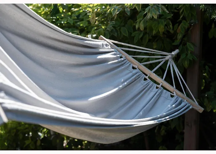 U Oli * ستيغنا